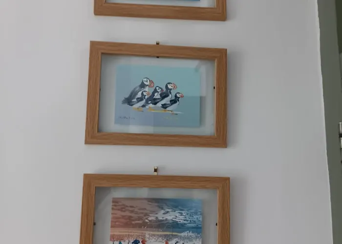 Vakantiehuis Rose Killarney